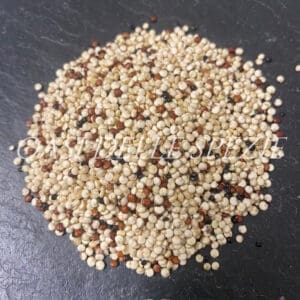 Mix di quinoa (rossa, bianca, nera) bio
