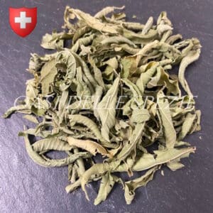 Verbena Limone bio (Svizzera)