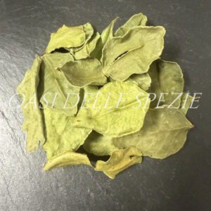Foglie di Combava bio (Limone Kaffir)